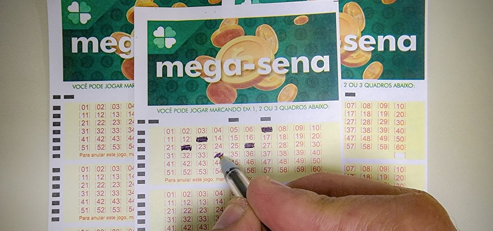 Apostas da Bahia levam prêmio da quina da Mega-Sena