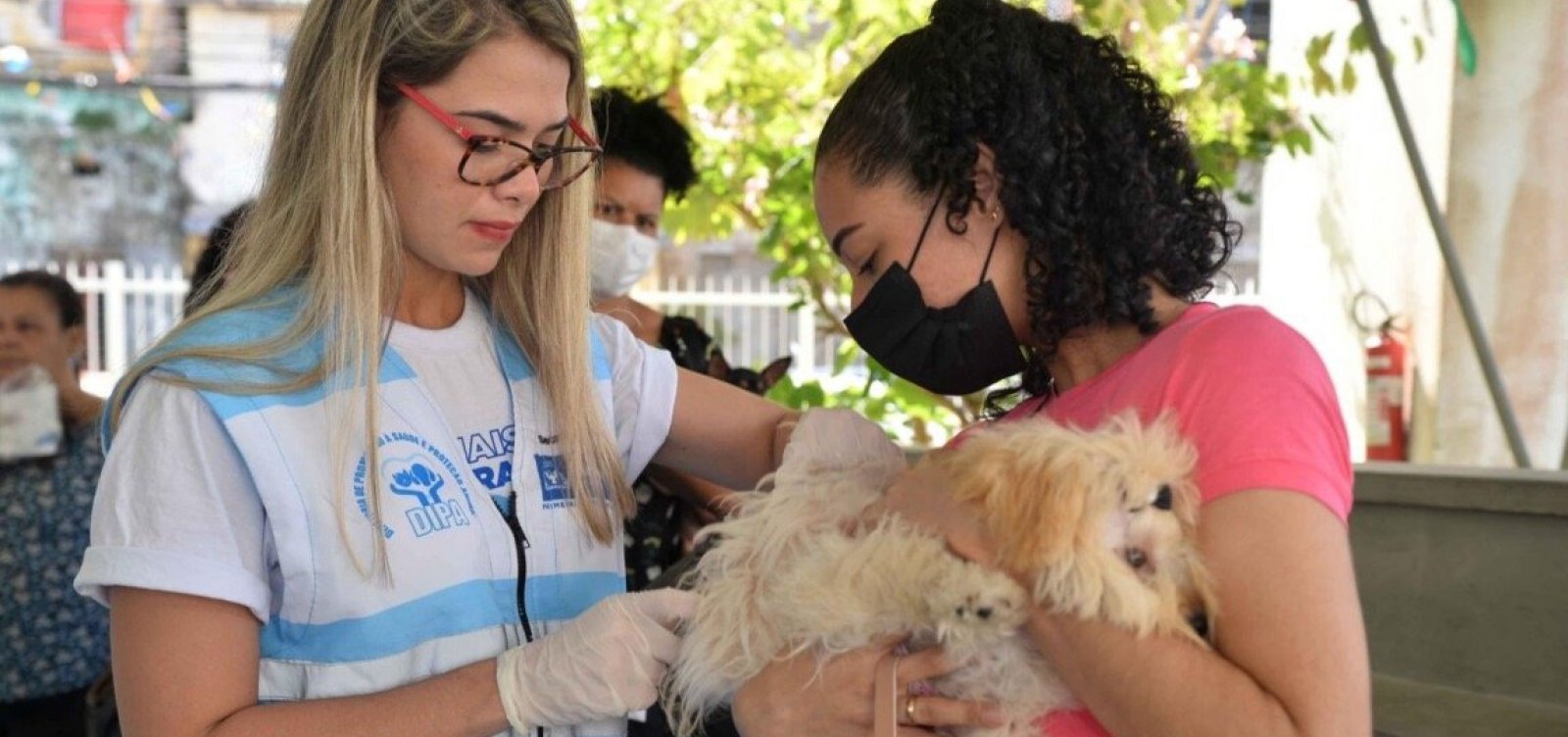 Campanha de vacinação antirrábica animal começa em Salvador nesta segunda