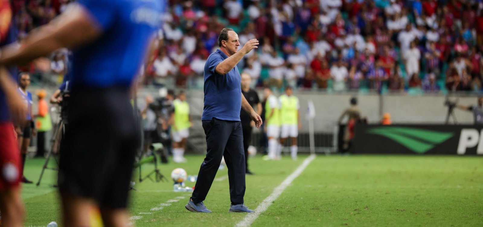 Finalista, Ceni mira título para o Bahia se isolar "como maior campeão do Nordeste"