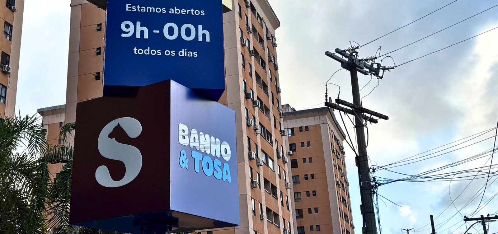 Guerra animal: sem regulamentação, planos de saúde pet avançam em mercado bilionário e acirram disputa com clínicas