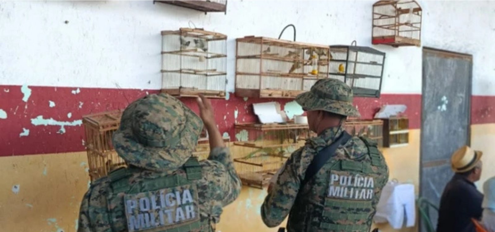 Mais de 70 aves silvestres são apreendidas em Candeias