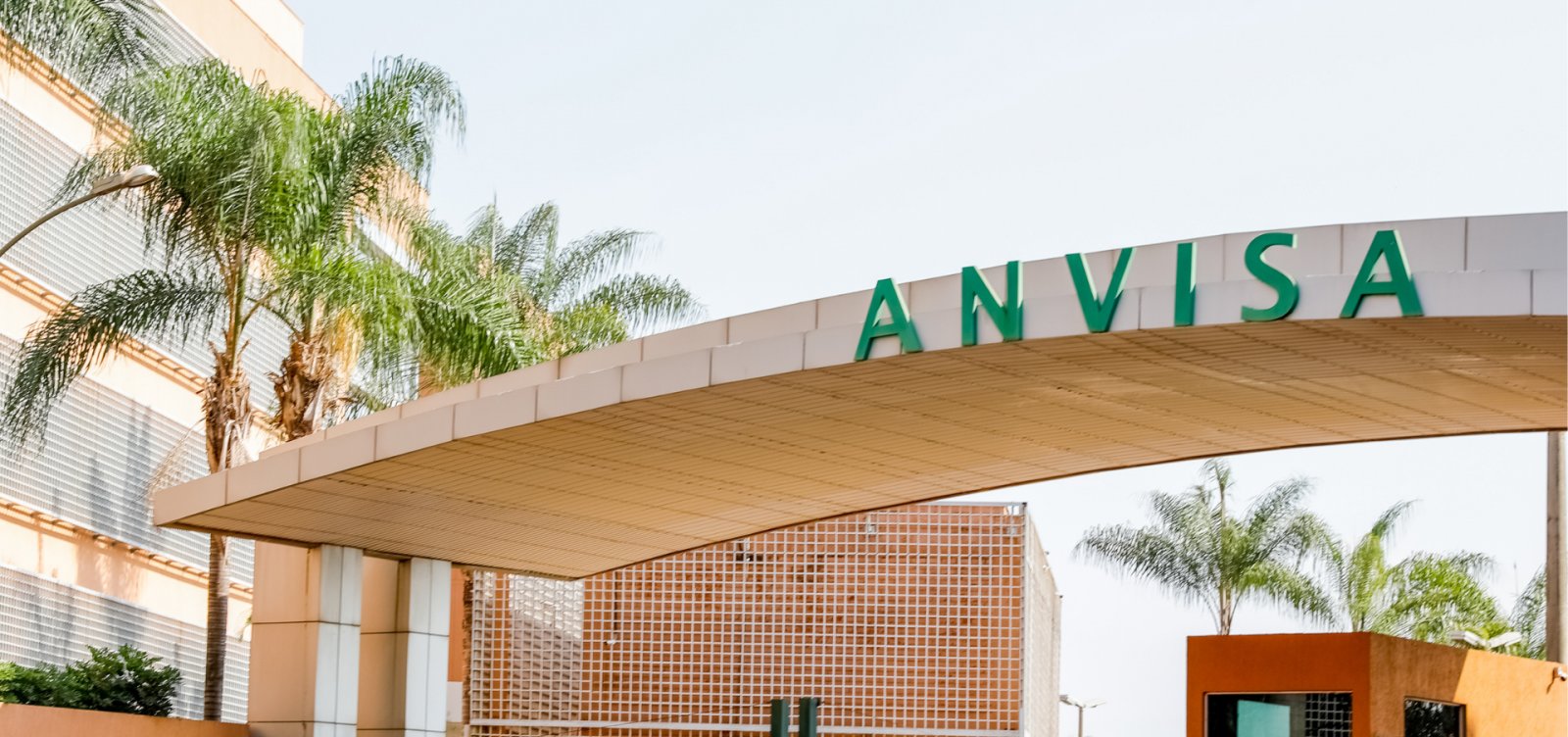 Novos produtos são proibidos e recolhidos pela Anvisa; veja