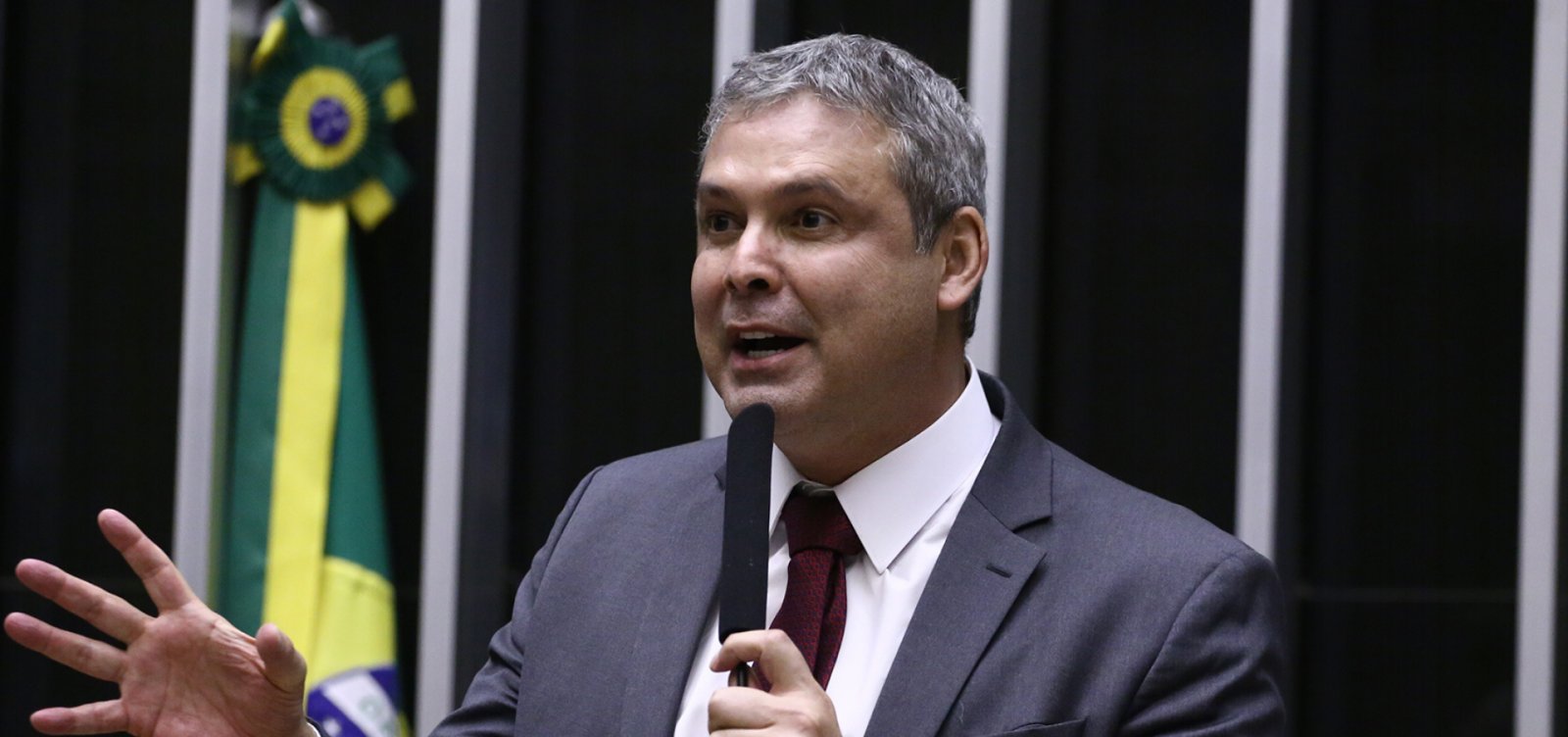 Crime contra o Estado não é passível de anistia, diz líder do PT na Câmara