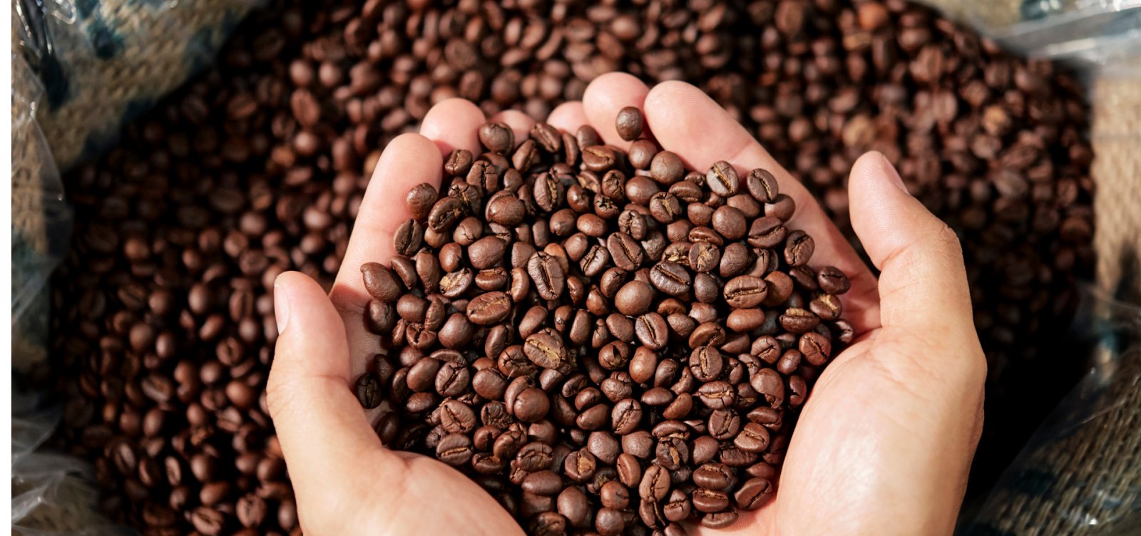 Preço do café nos EUA tem maior alta anual desde 1997 em meio a tarifaço