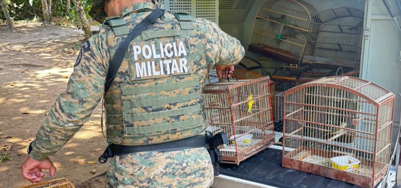 Polícia apreende 27 aves silvestres em feira livre de Santo Amaro