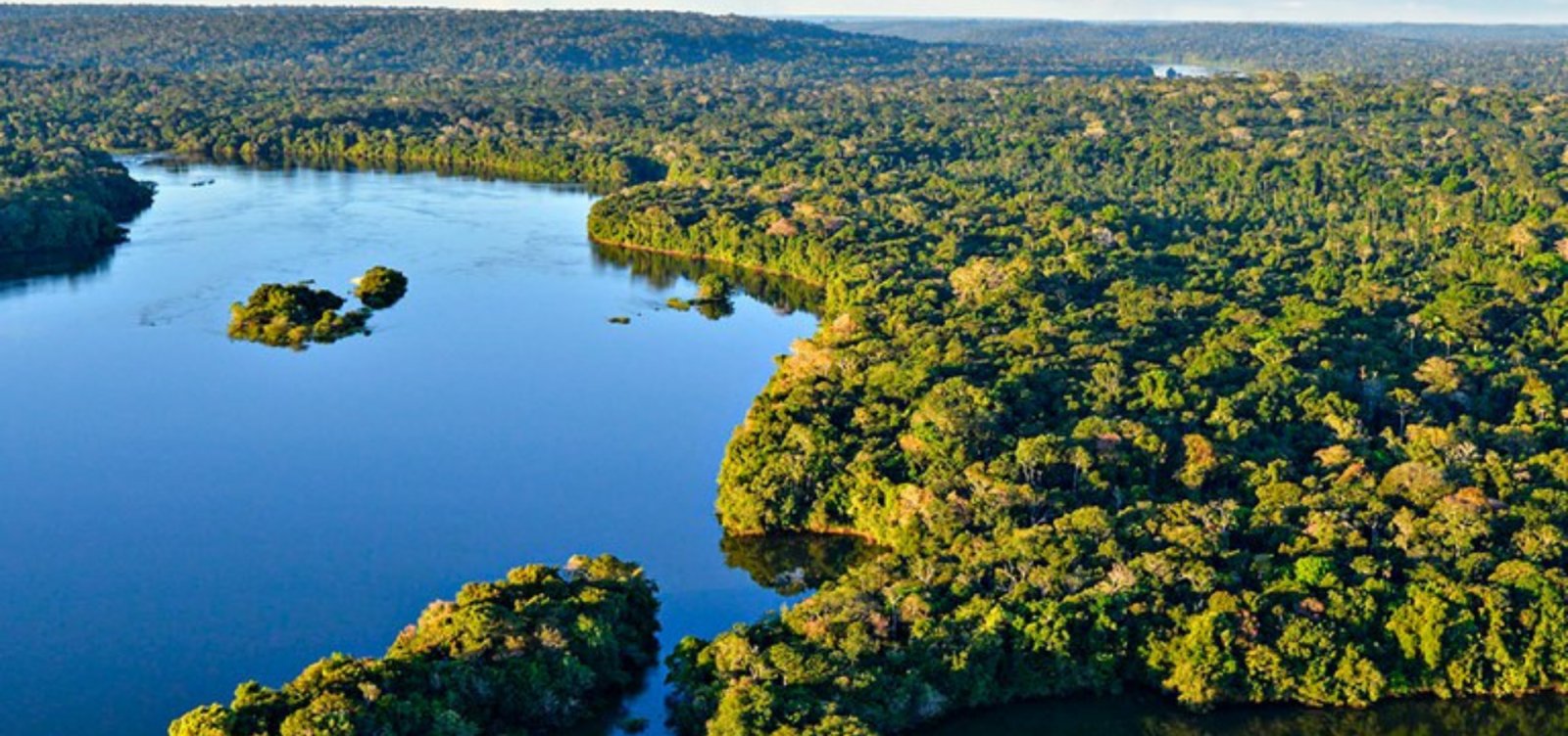Novo sistema vai monitorar 100% do bioma da Amazônia diariamente
