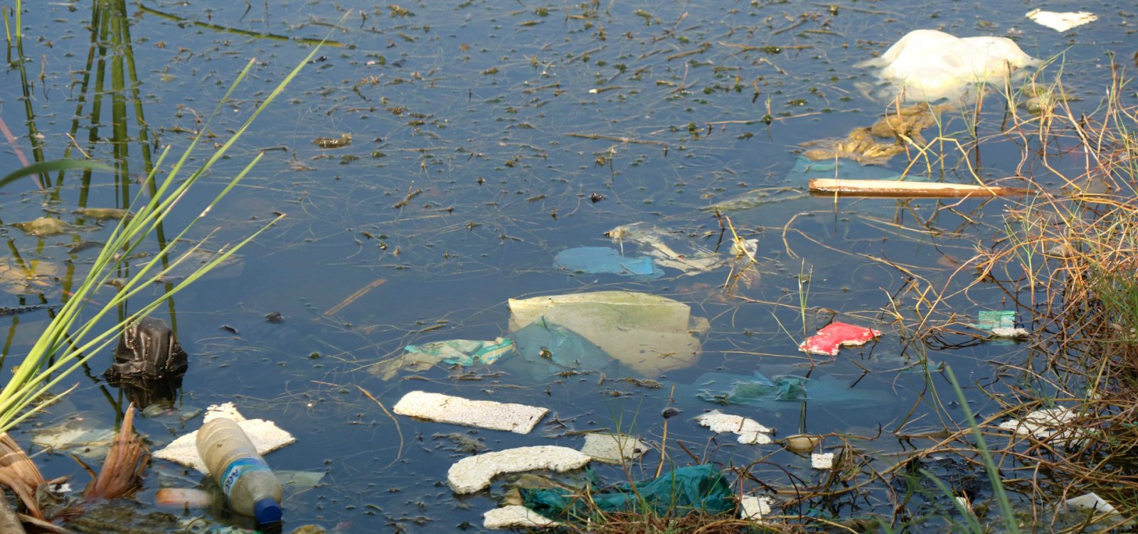Plásticos contaminam rios e florestas da Amazônia, aponta estudo da Fiocruz
