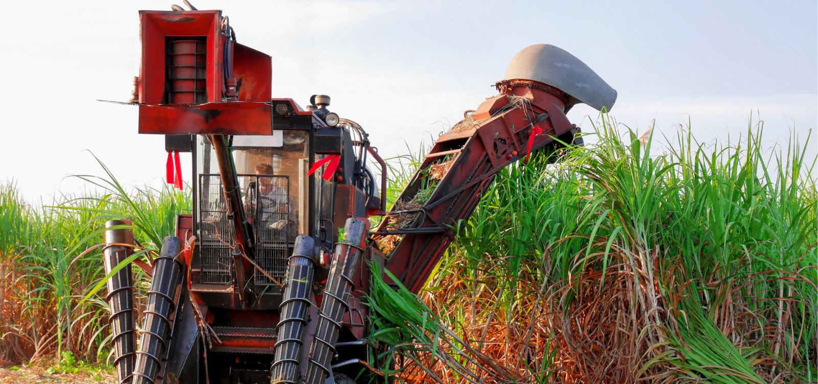 Exportação de alimentos industrializados cai US$ 300 milhões em agosto