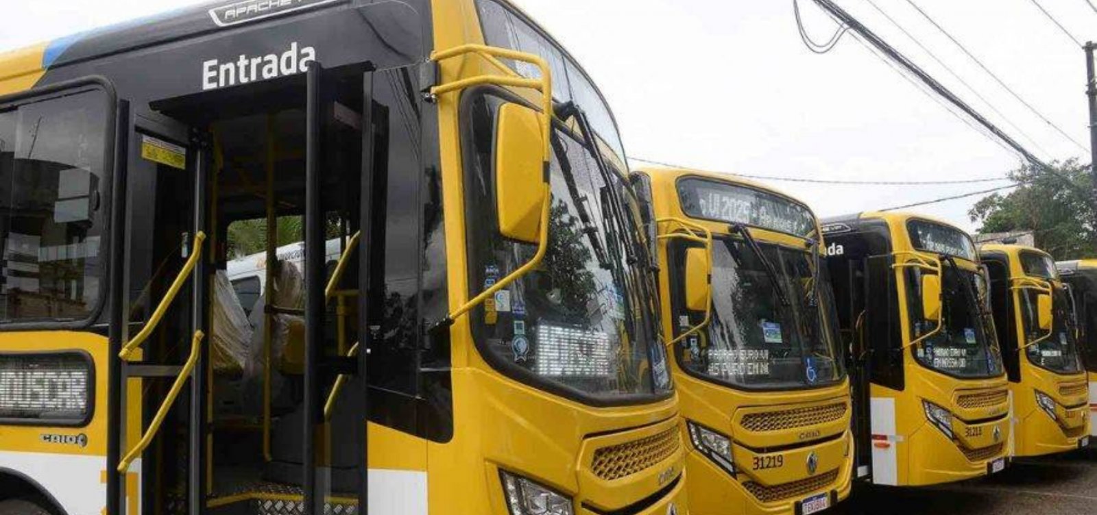 Novas linhas de ônibus começam a operar em Salvador