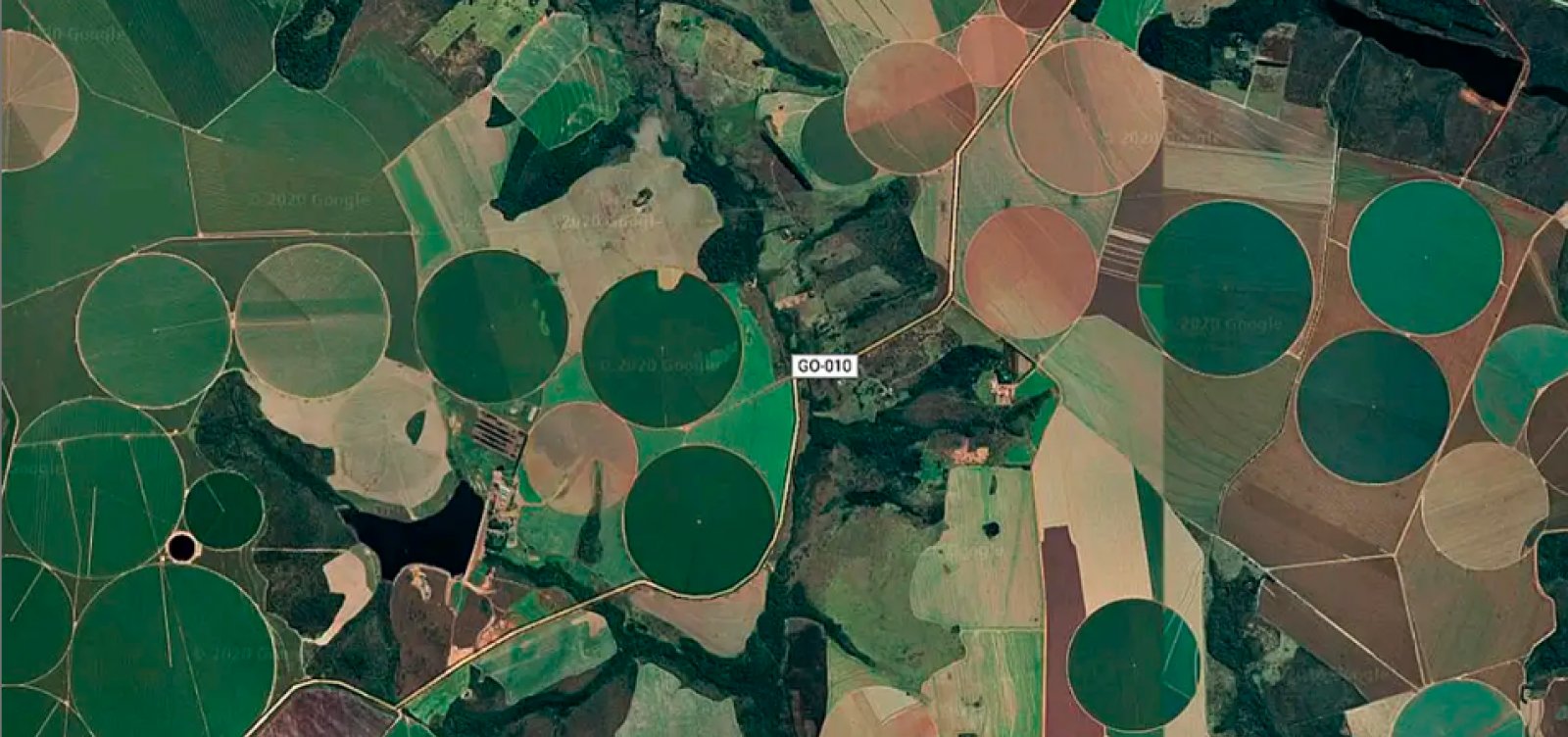 Cerrado perde quase 30% de vegetação em 40 anos