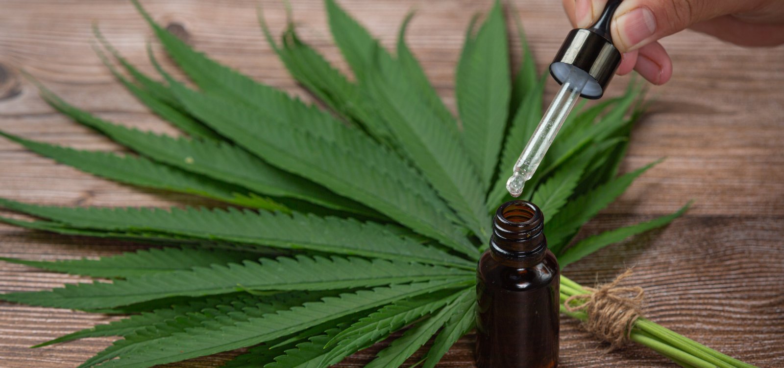 AGU solicita ao STJ mais tempo para regulamentar medicamentos com cannabis no Brasil