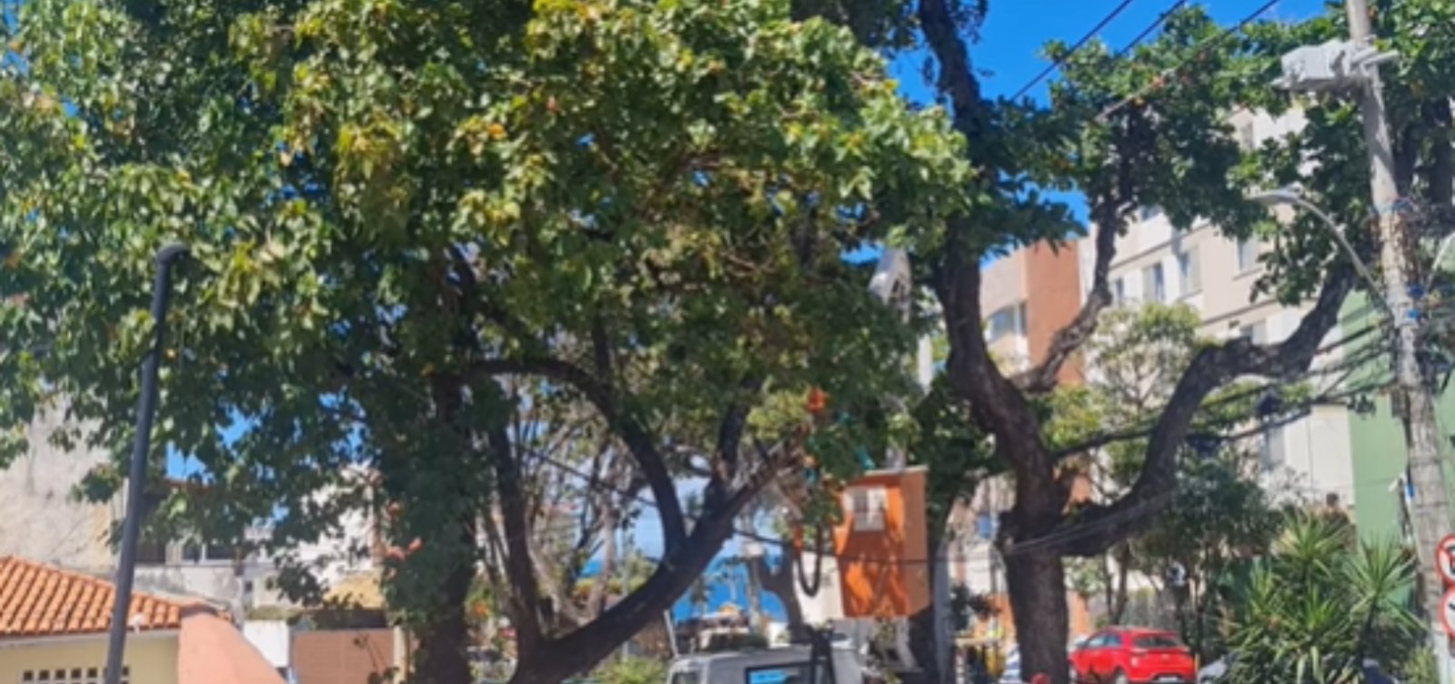 Após pedido do MP, prefeitura remove árvores no Rio Vermelho e moradores protestam