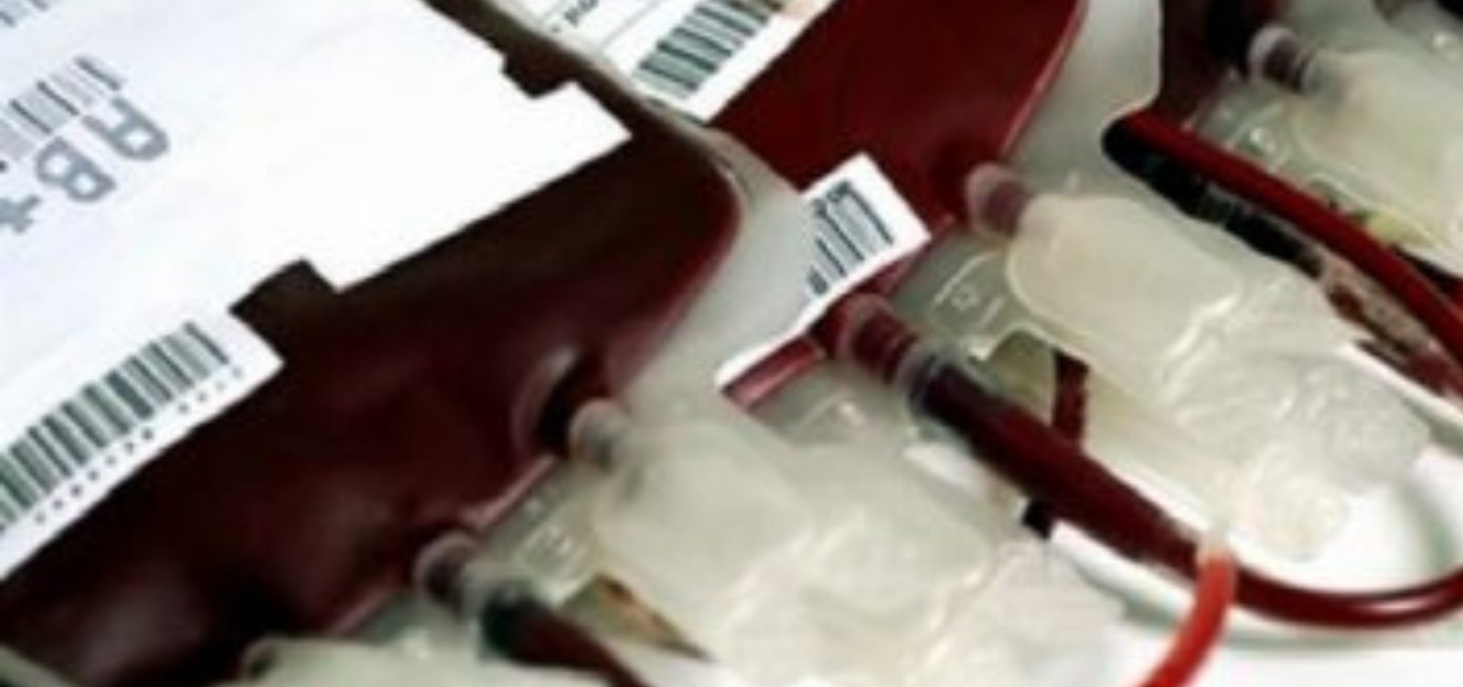 Bahia e Vitória se unem em campanha solidária de doação de sangue com a Hemoba
