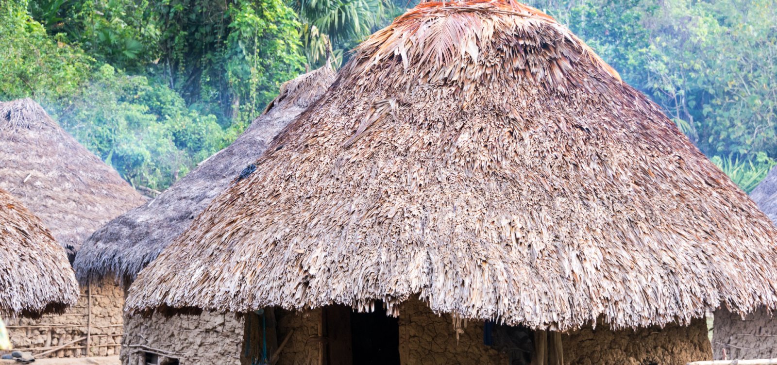 Censo 2022 aponta Bahia como o terceiro estado com maior diversidade de povos indígena