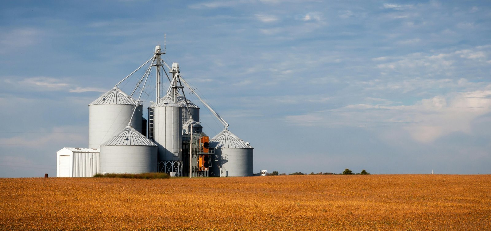 MPT investiga acidente que matou trabalhador em silo de soja na Bahia