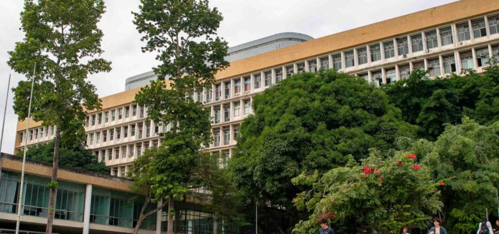 UFRJ aprova reserva de vagas para pessoas trans em cursos de graduação