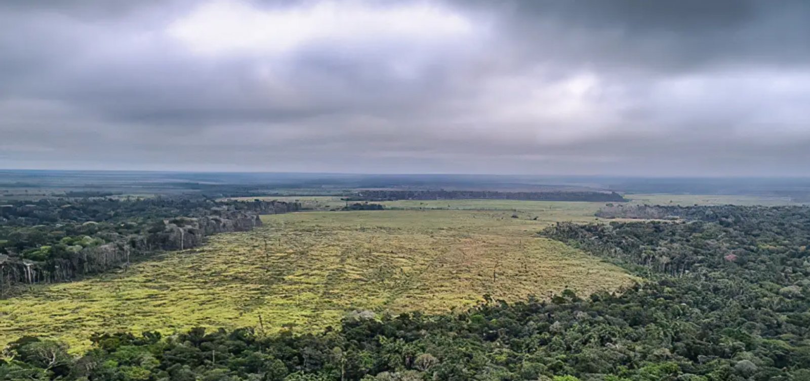 Desmatamento na Amazônia cai 11% e tem menor taxa em 11 anos