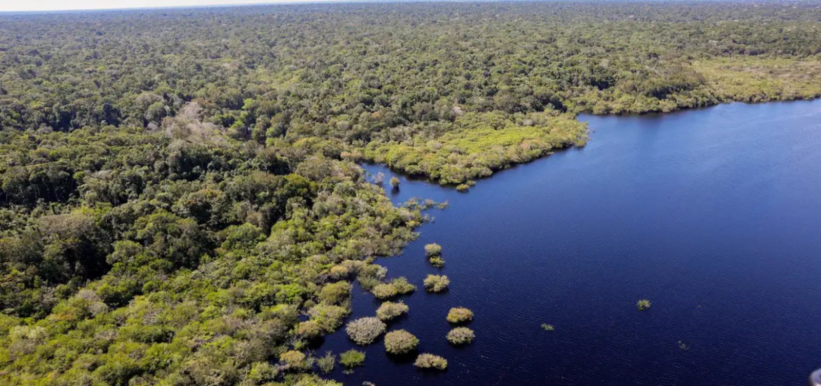 Desmatamento na Amazônia cai 11% e registra menor índice em 11 anos