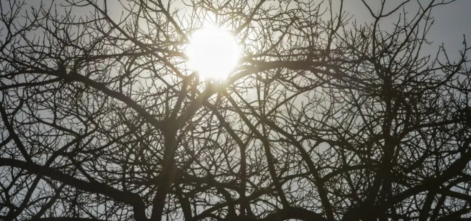 Mais de 70 cidades da Bahia seguem em alerta por baixa umidade do ar