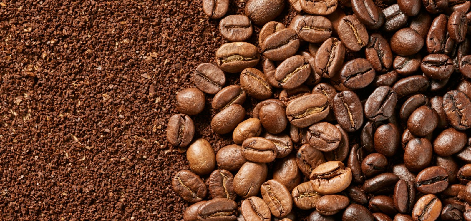 Cafés brasileiros estão entre os finalistas do Prêmio Internacional Ernesto Illy