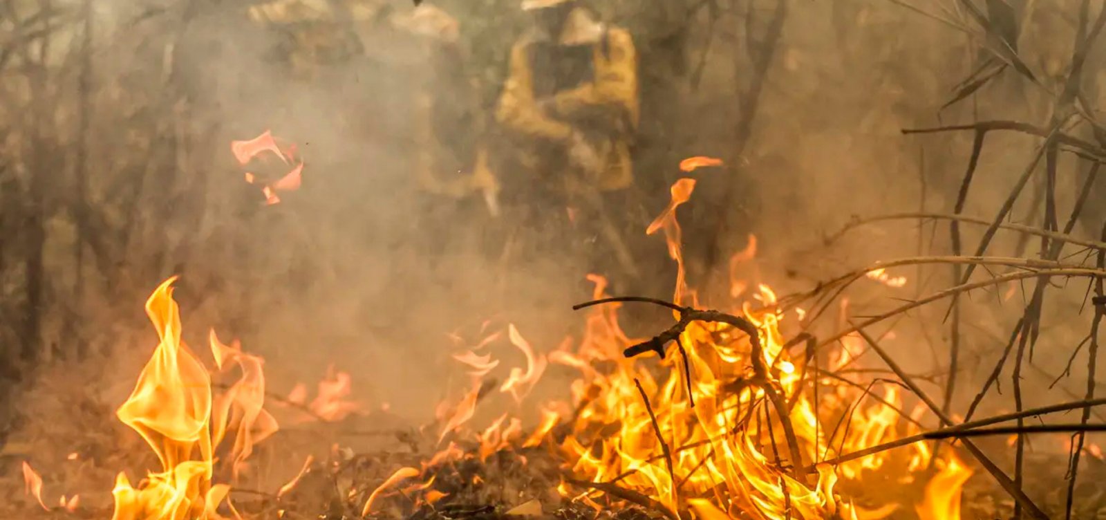 Pantanal e Amazônia registram maiores aumentos de temperatura em 40 anos, aponta MapBiomas