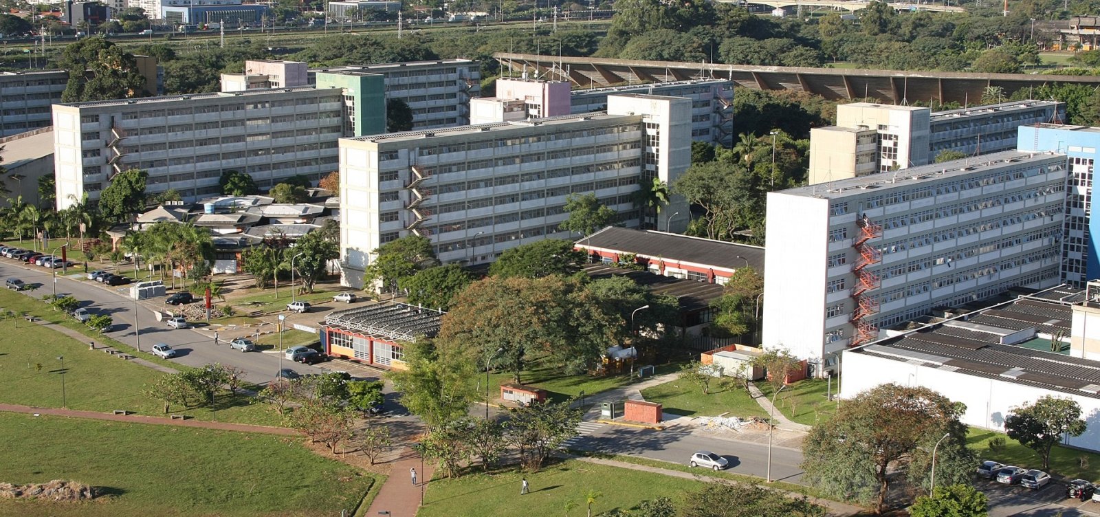 USP é a instituição brasileira com mais influência em políticas públicas ao redor do mundo, segundo relatório