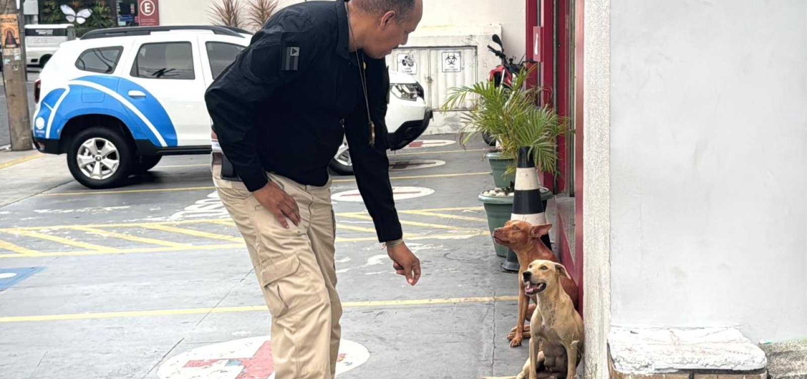Homem que usava cães para atacar moradores em bairro de Salvador é preso