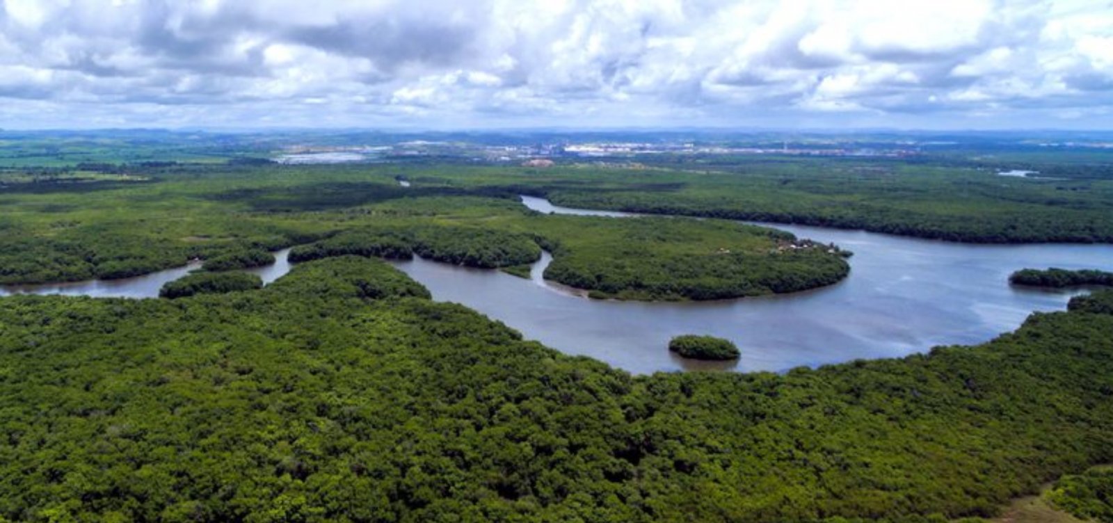 BNDES investe R$ 7 bilhões em programas de recuperação florestal no Brasil