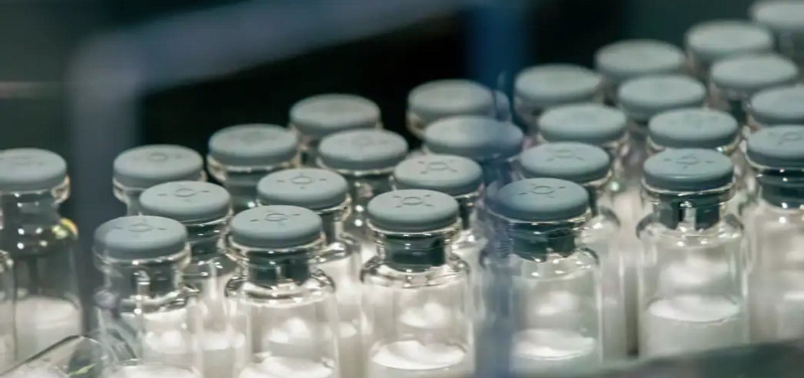 Anvisa pode aprovar vacina do Butantan contra a dengue neste mês