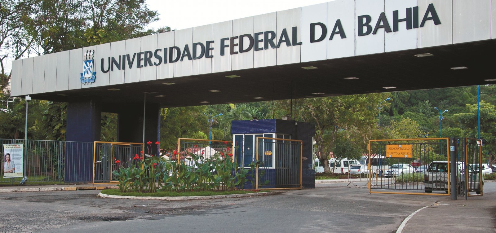 Em tempos de ataques à ciência, pesquisadores da Bahia figuram entre os mais influentes do mundo