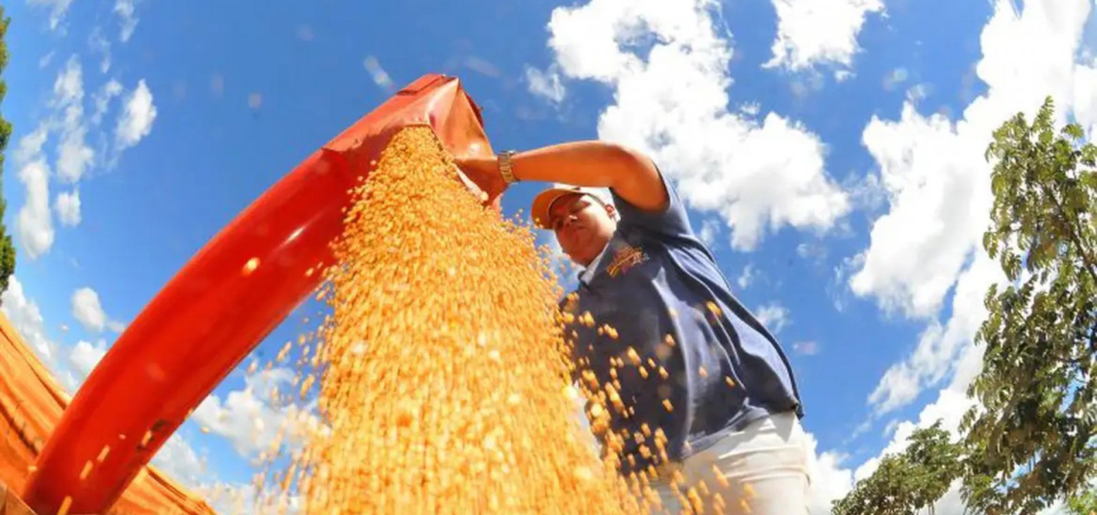 IBGE prevê queda de 3,7% na safra de grãos em 2026 após produção recorde em 2025