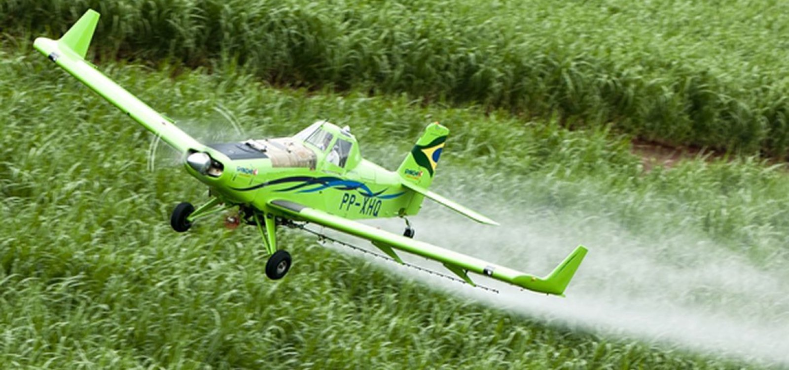 OMS classifica herbicidas como cancerígenos para humanos