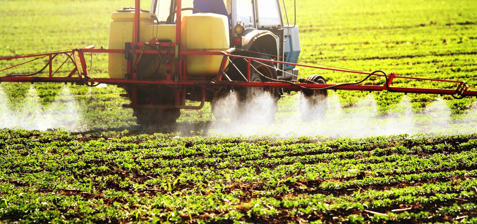 STF mantém regras de isenção fiscal para agrotóxicos