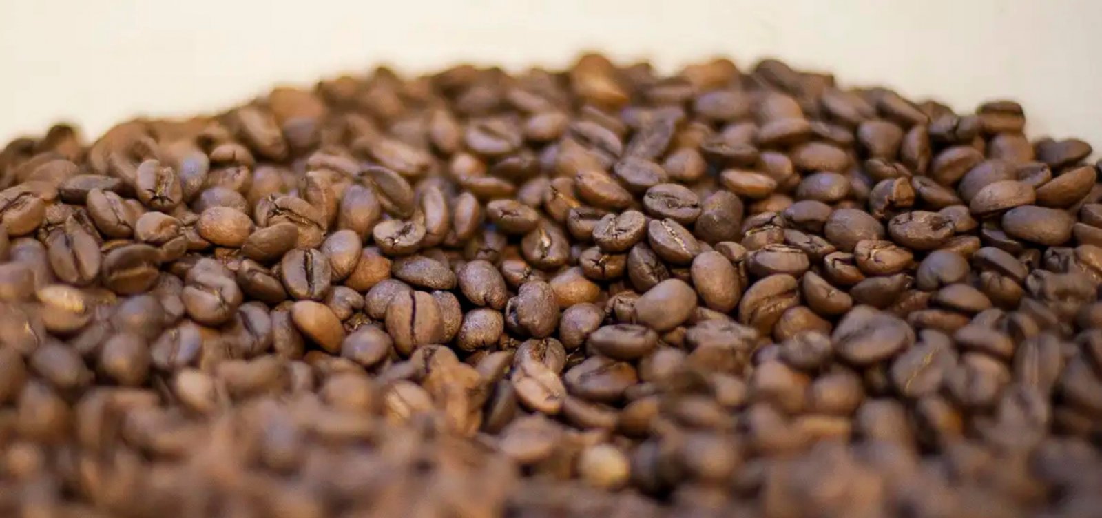 Ministério da Agricultura suspende 23 lotes de café por irregularidades