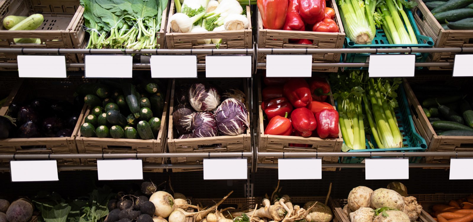 ALBA aprova projeto que cria espaços exclusivos para produtos orgânicos em supermercados