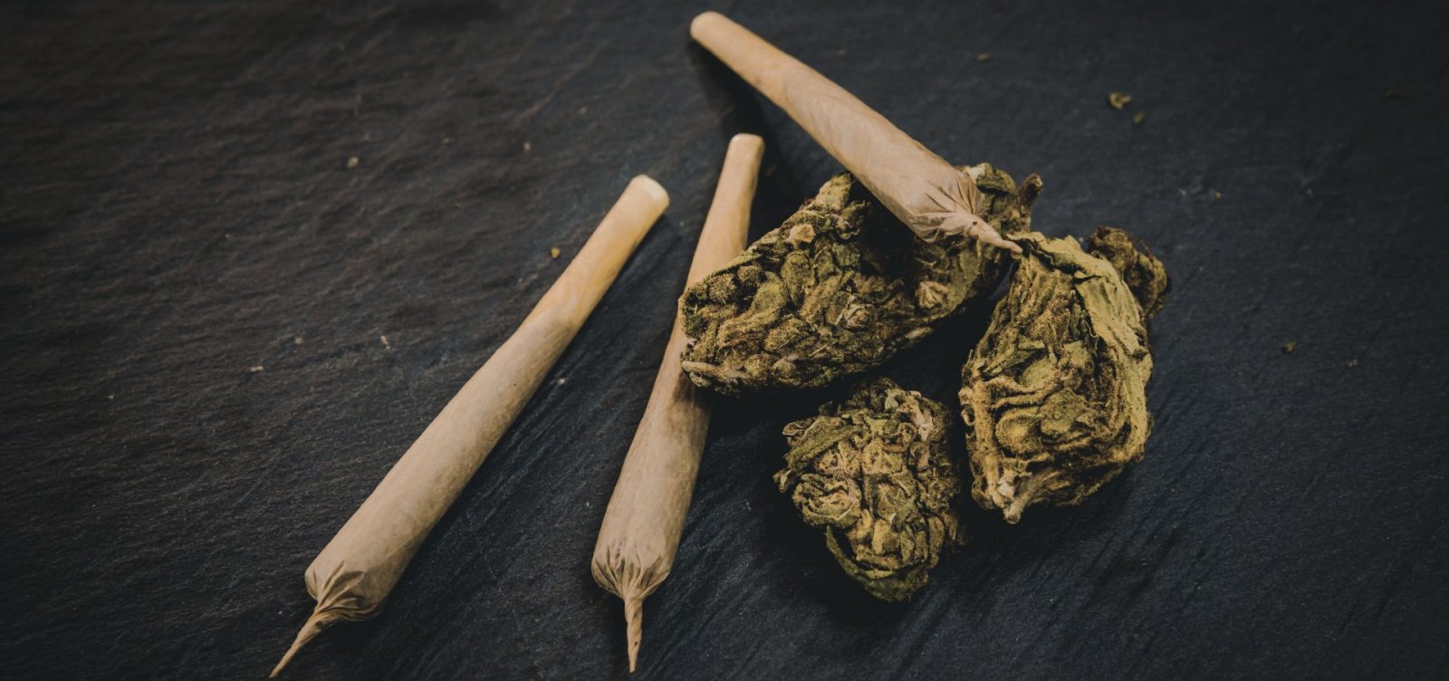 Um em cada cinco brasileiros já usou drogas ilícitas, revela estudo