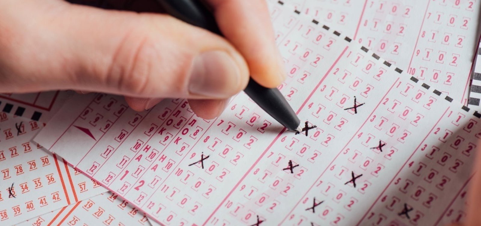 Apostas da Bahia faturam cerca de R$ 87,1 milhões em uma noite