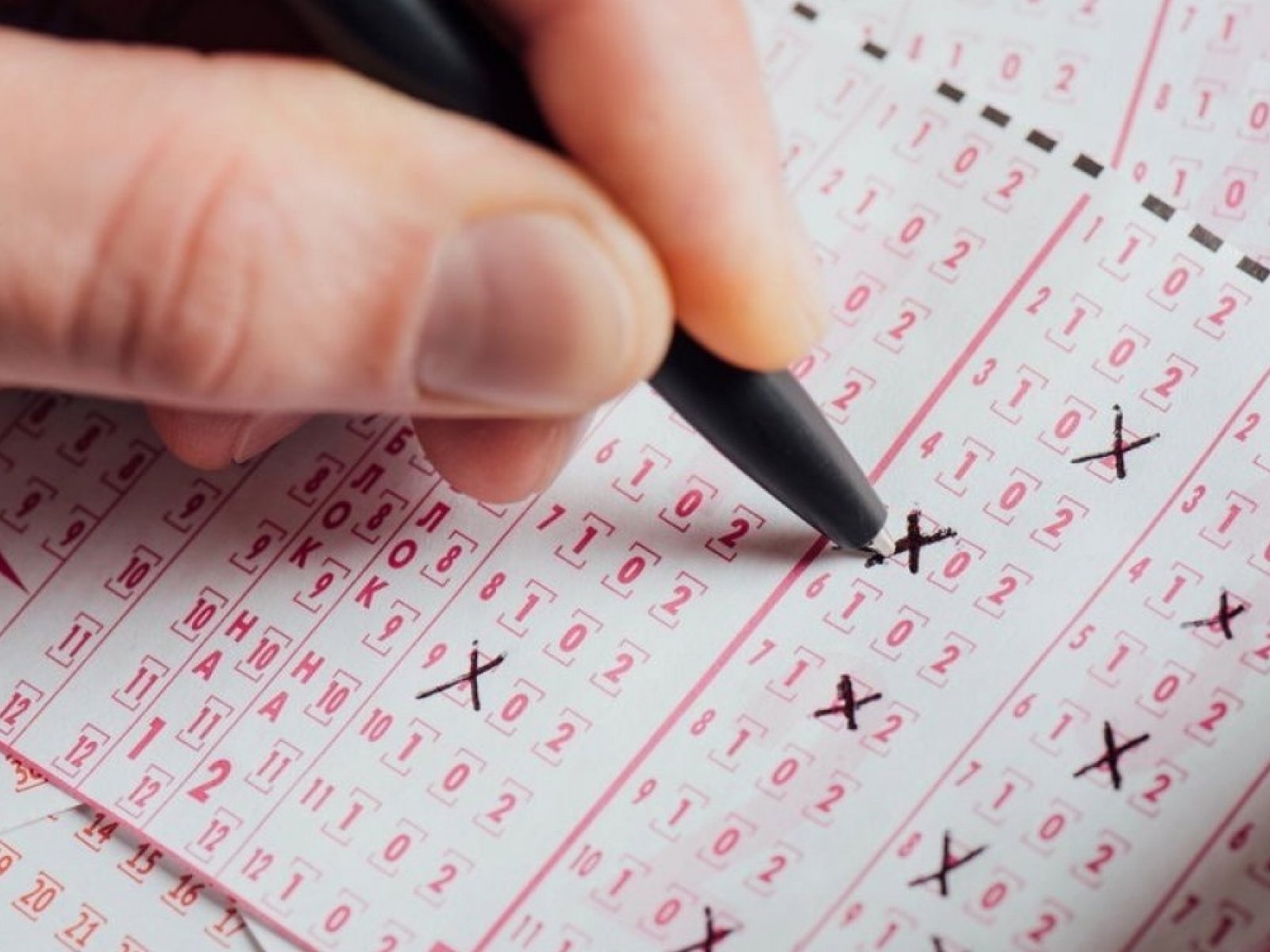 Apostas da Bahia faturam cerca de R$ 87,1 milhões em uma noite