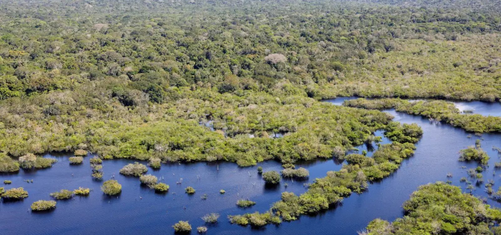PSol e Apib acionam STF contra nova lei do Licenciamento Ambiental