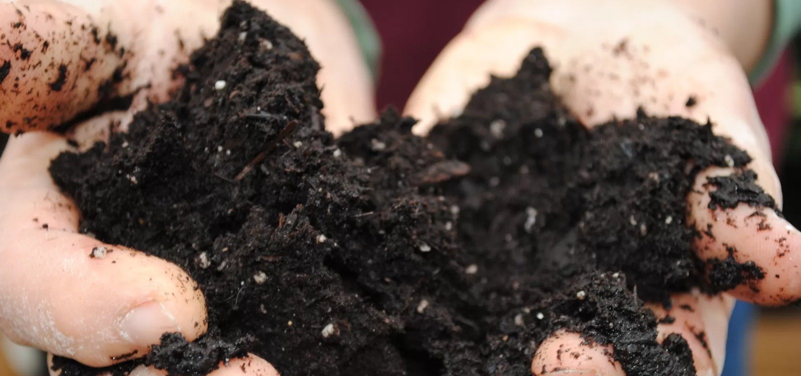 Petrobras e Shell lançam pesquisa nacional sobre estoques de carbono