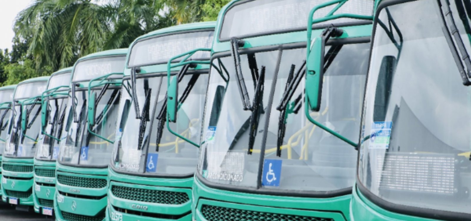 Confira como será o esquema de transporte para a Lavagem do Bonfim 2026