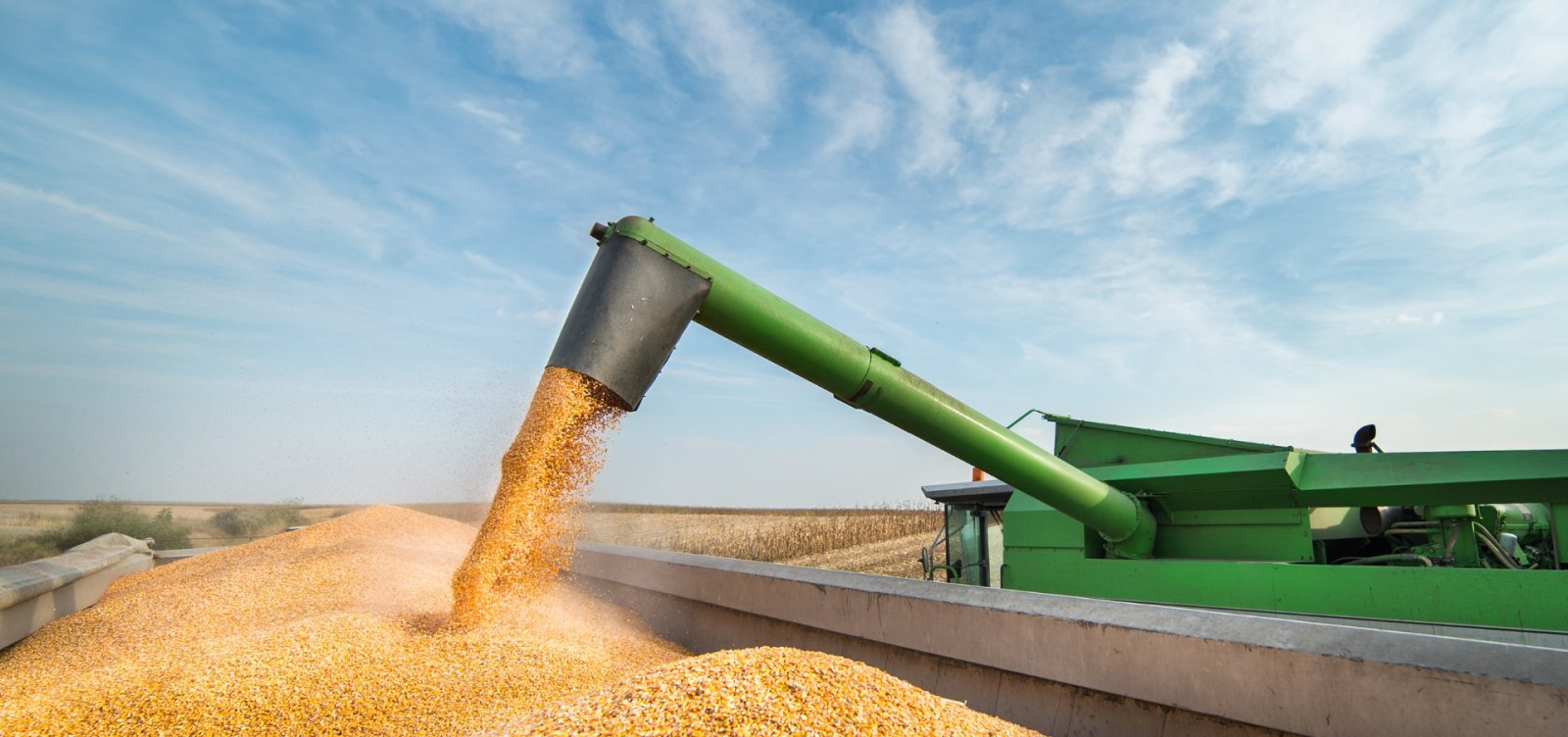 IBGE aponta safra recorde de grãos em 2025