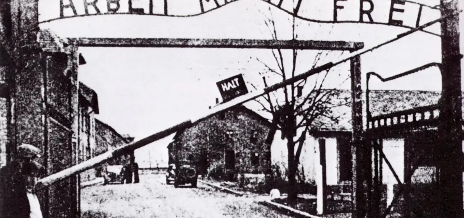 Dia em Memória das Vítimas do Holocausto: lembrar para que nunca mais se repita