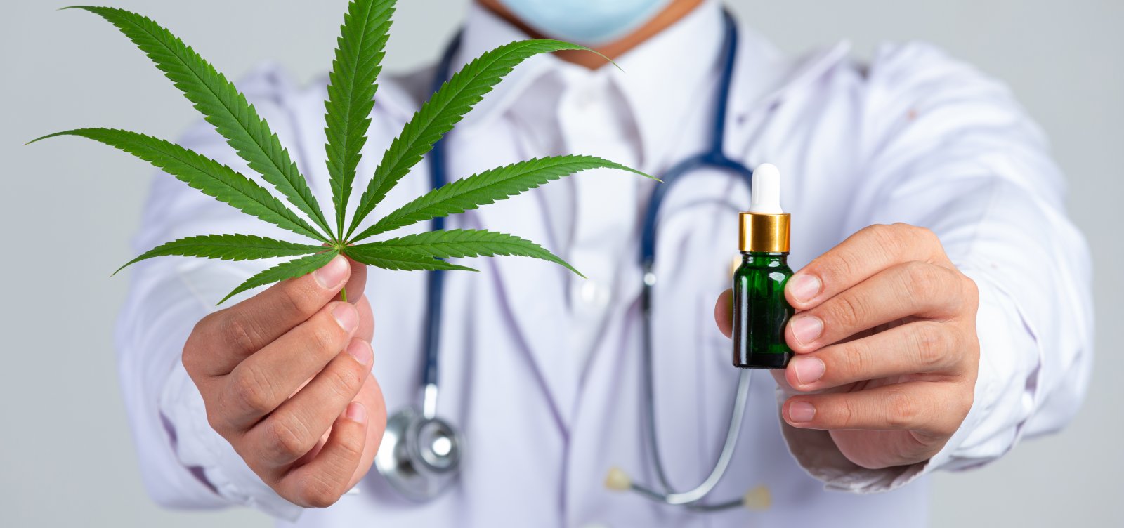 Aval da Anvisa para cultivo de cannabis é considerado “marco histórico”, diz presidente de associação