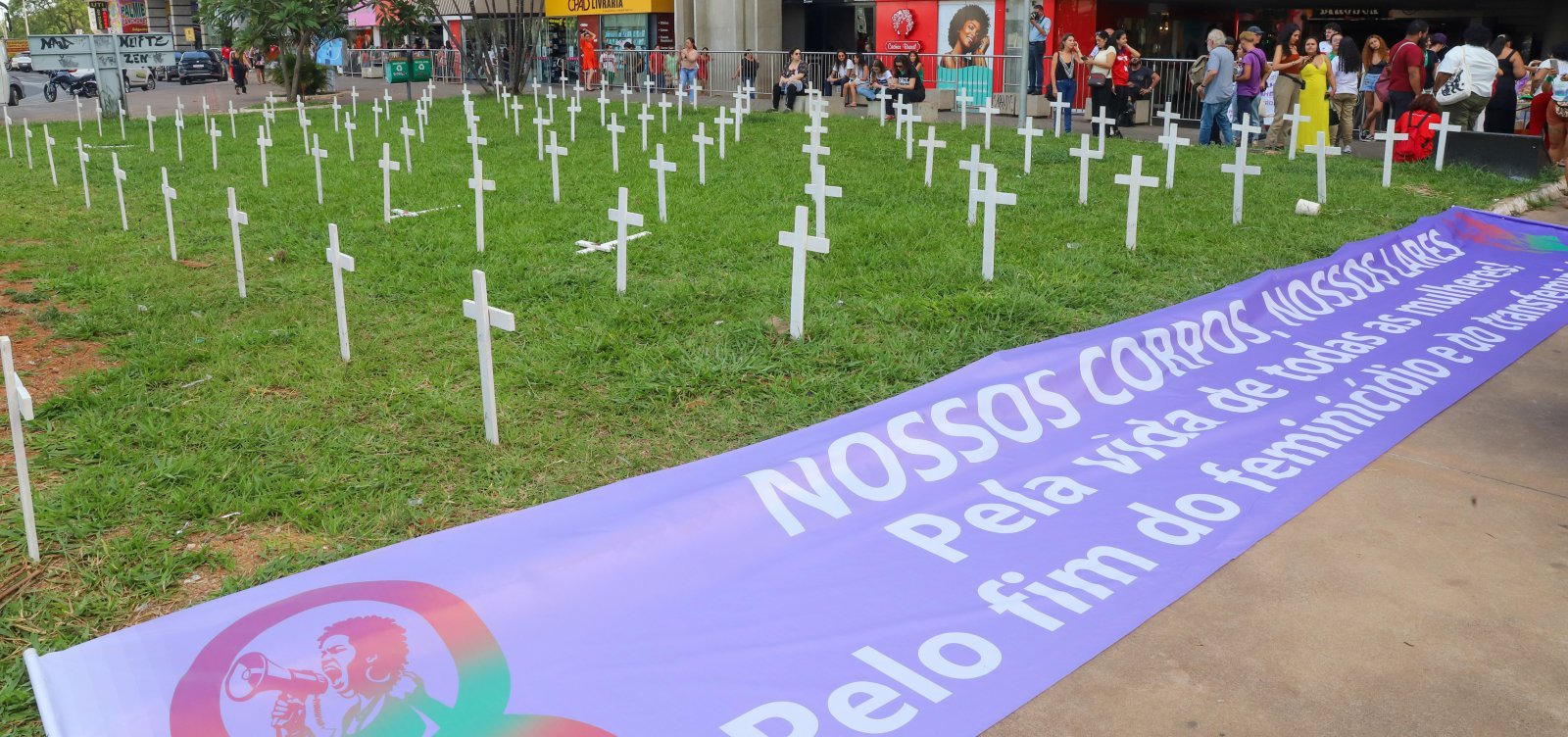 Brasil deve propor à OMS inclusão do feminicídio no código internacional de doenças