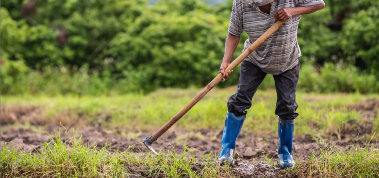 Brasil oficializa protocolo da OIT para combater trabalho forçado