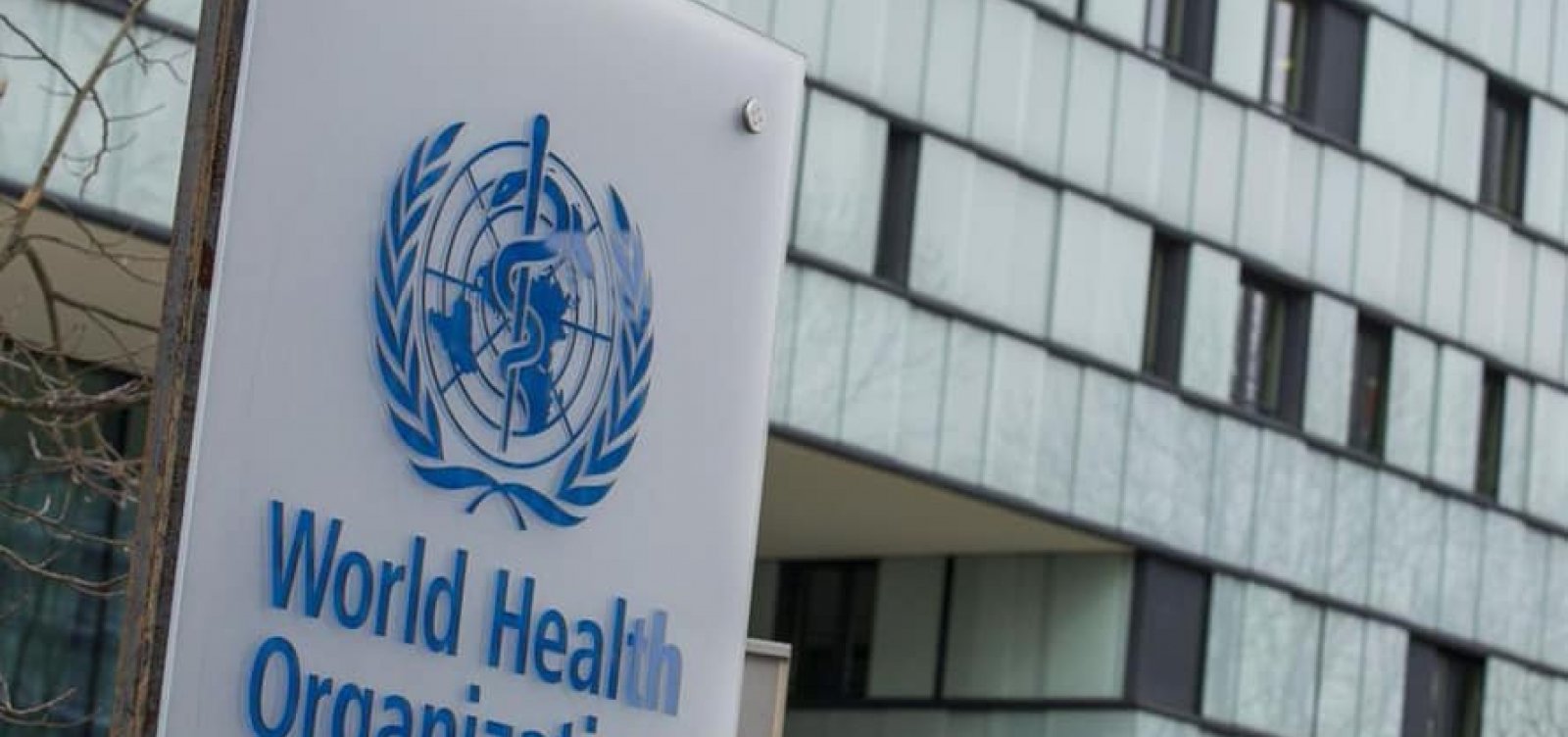 OMS verifica 13 ataques a serviços de saúde no Irã durante ofensiva de EUA e Israel