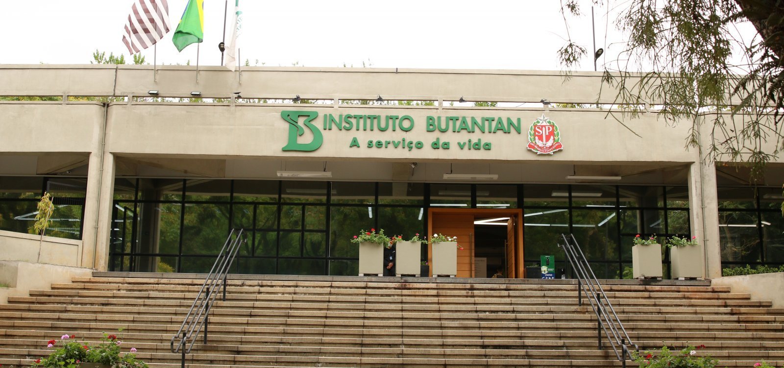 Butantan vai produzir medicamento contra câncer para o SUS