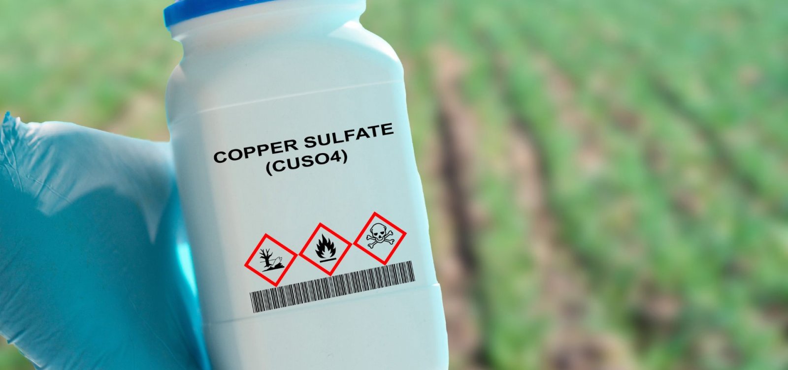 Informação sobre agrotóxico em rótulo de alimentos pode se tornar obrigatório; entenda projeto