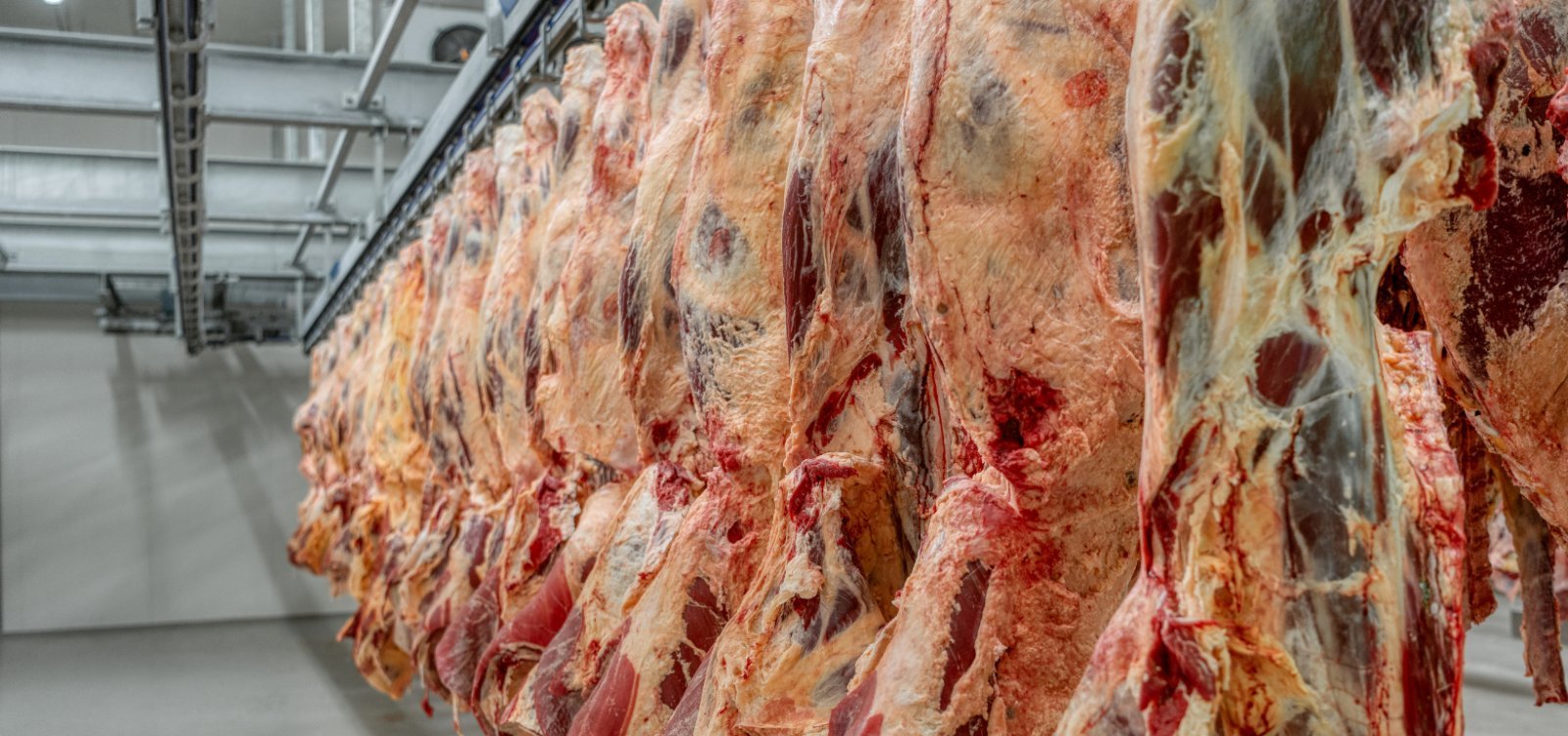 Guerra no Oriente Médio eleva fretes e reduz exportações de carne brasileira